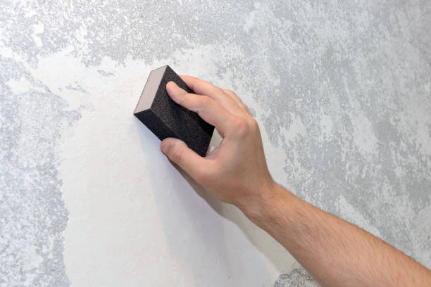 Best Crawl Space Mold Remediation  in Decatur, AR
