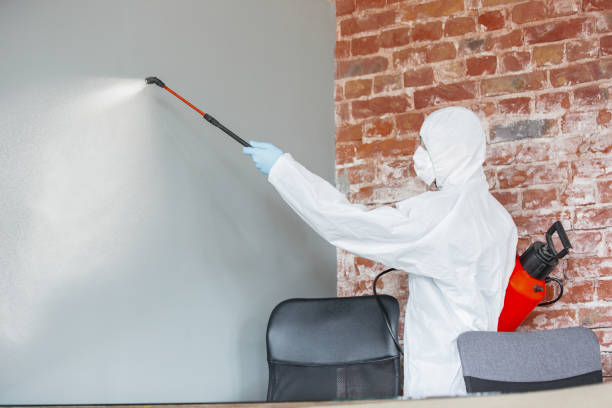 Best Biohazard Mold Removal  in Decatur, AR