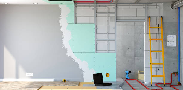 Best Asbestos and Lead Testing During Mold Inspection  in Decatur, AR