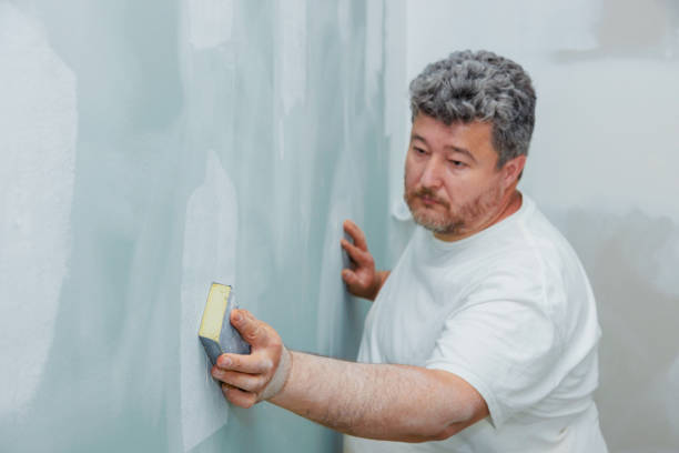 Best Post-Construction Mold Inspection  in Decatur, AR