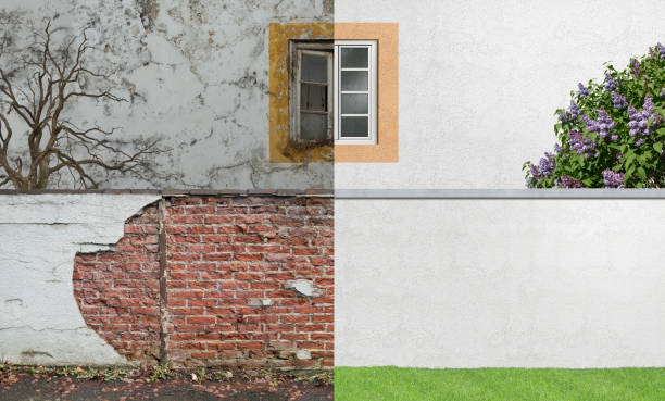Best Mold Damage Restoration  in Decatur, AR