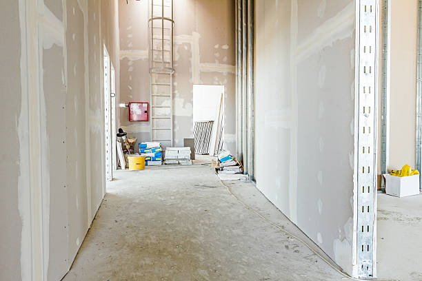 Best Black Mold Removal  in Decatur, AR