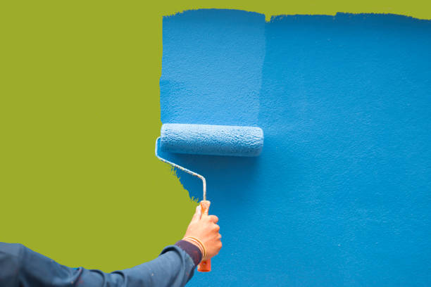 Best Mold Prevention Services  in Decatur, AR