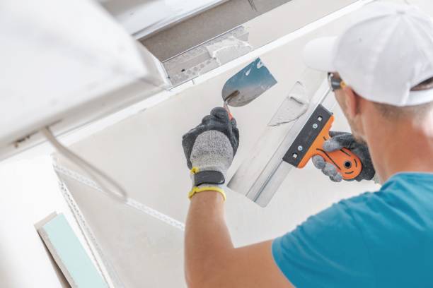 Best Mold Damage Restoration  in Decatur, AR